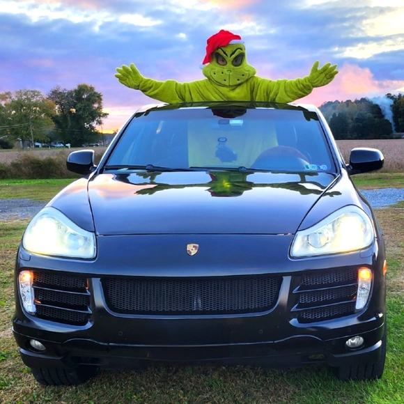 The Grinch Costume - Picture 7 of 12